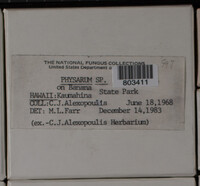 Image Associated With the Occurence